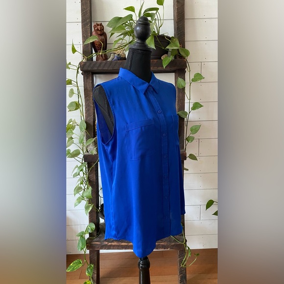 Apt 9: Elegant Royal Blue Button Down Shirt - Picture 10 of 17